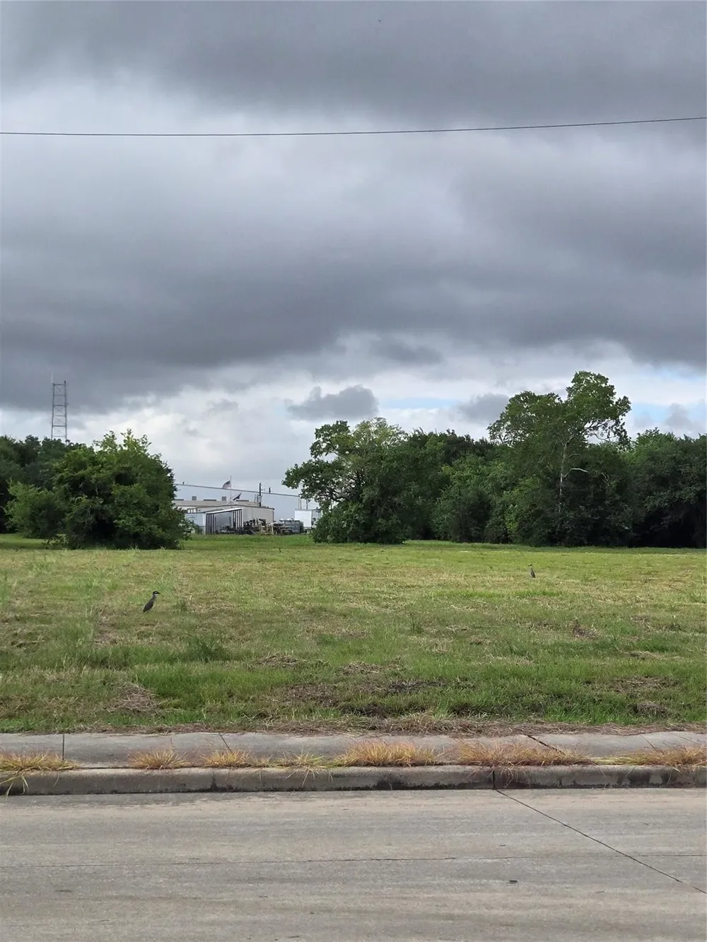 Mykawa Rd Pearland, TX 77581