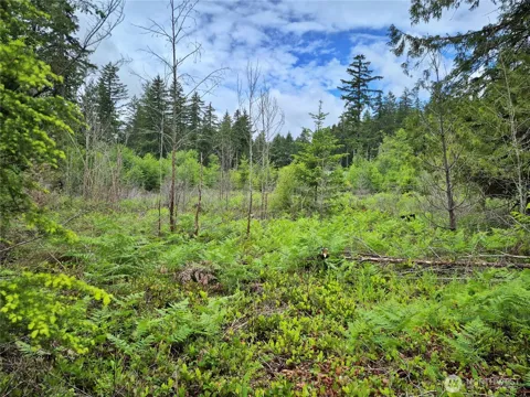 7 W Wilderness Lane