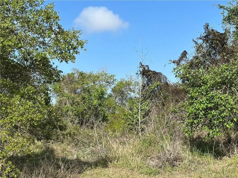 Saunders Aransas Pass, TX 78336