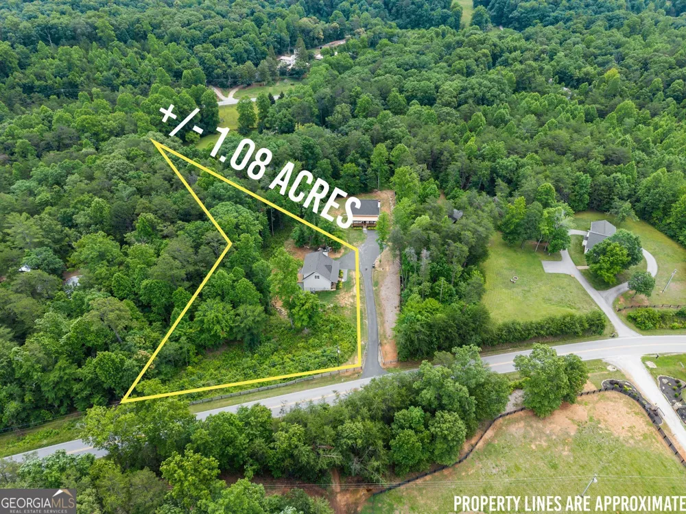 1320 Preacher Campbell RD Clarkesville, GA 30523
