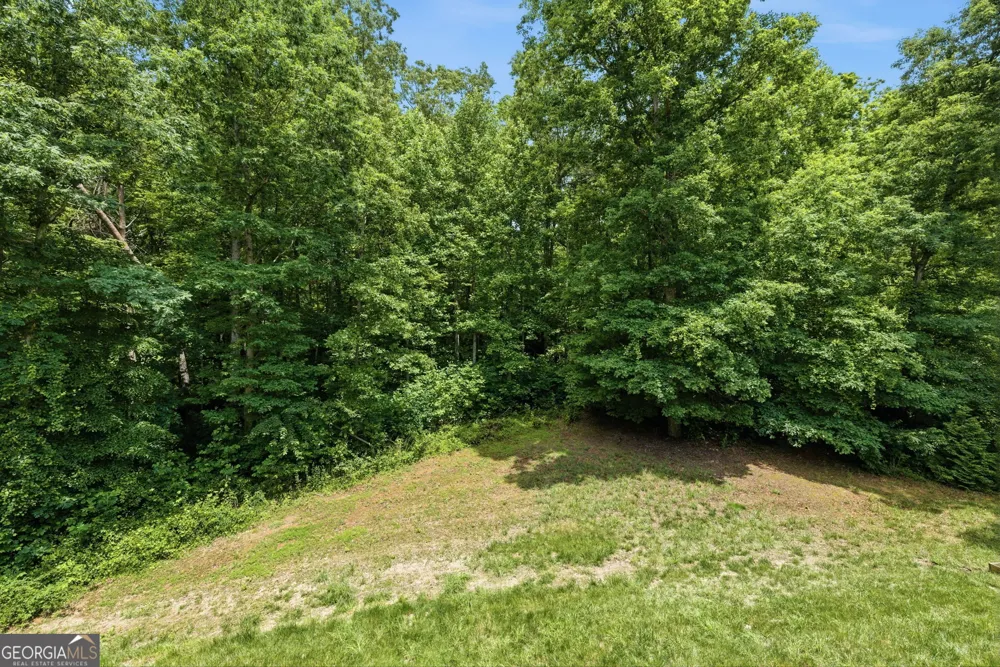 119 Abbington WAY Clarkesville, GA 30523