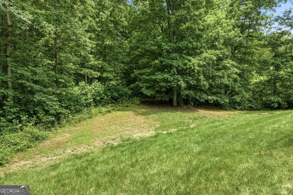 119 Abbington WAY Clarkesville, GA 30523