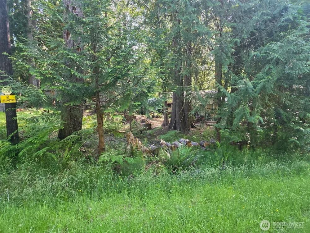 71 E Lakeshore Drive E Shelton, WA 98584
