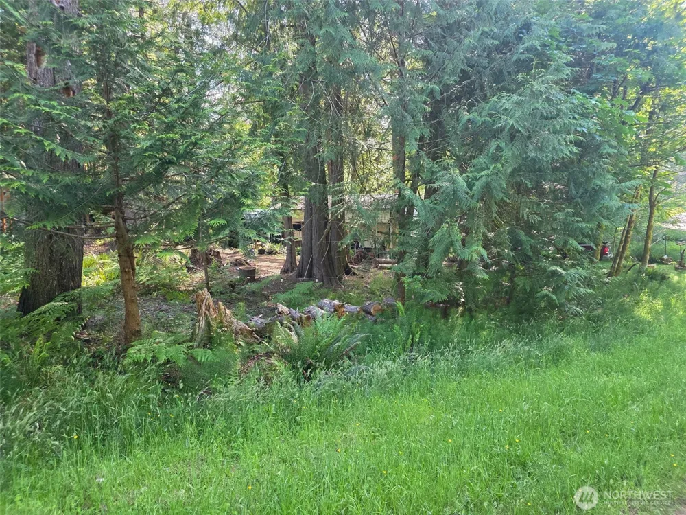 71 E Lakeshore Drive E Shelton, WA 98584