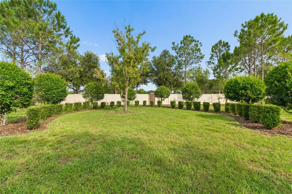 9323 BELLA VITA CIRCLE Land O Lakes, FL 34637