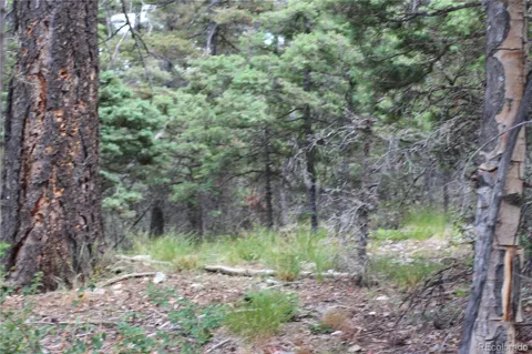 LOT 6077 Vreeland Road