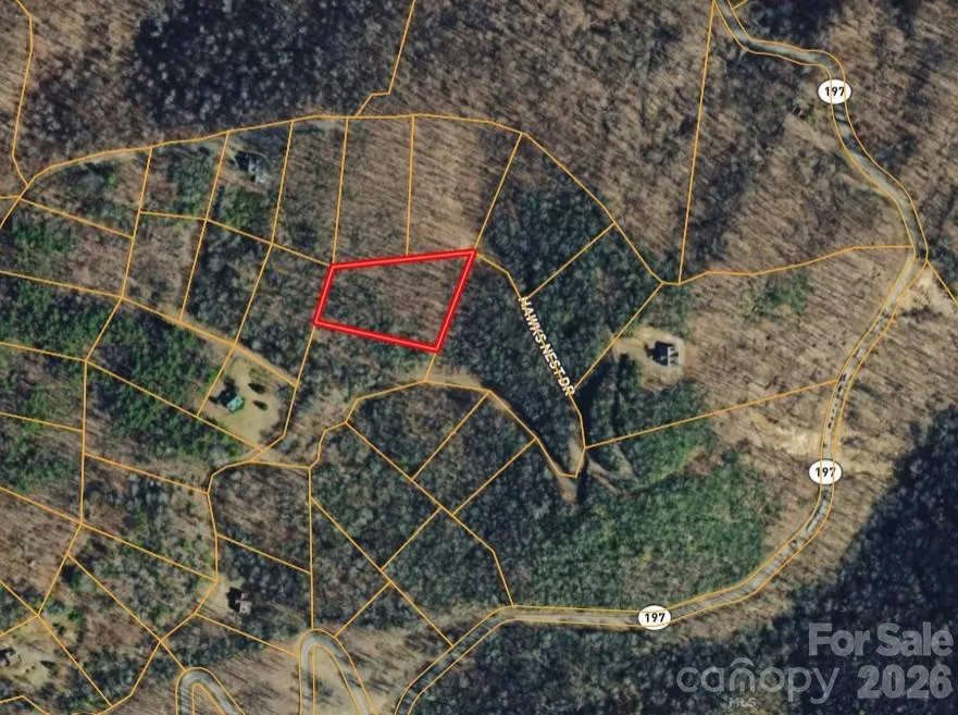 000 Hawks Nest Drive Burnsville, NC 28714