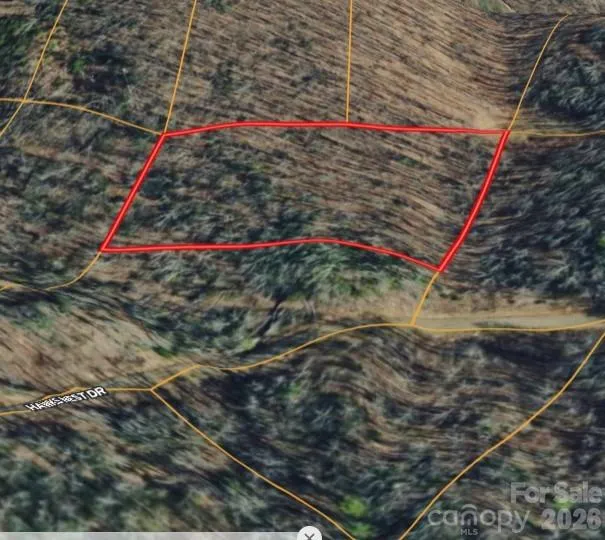 000 Hawks Nest Drive Burnsville, NC 28714