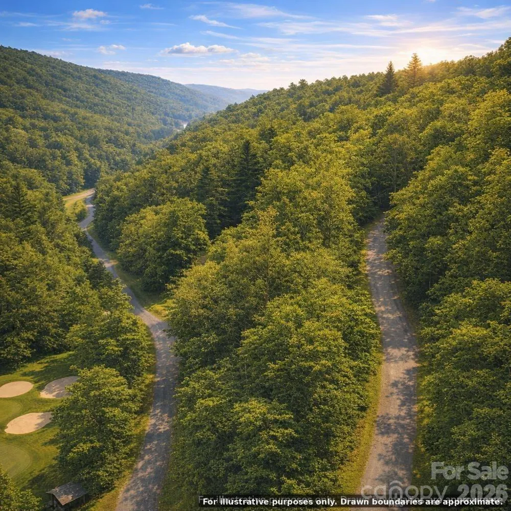 000 Hawks Nest Drive Burnsville, NC 28714