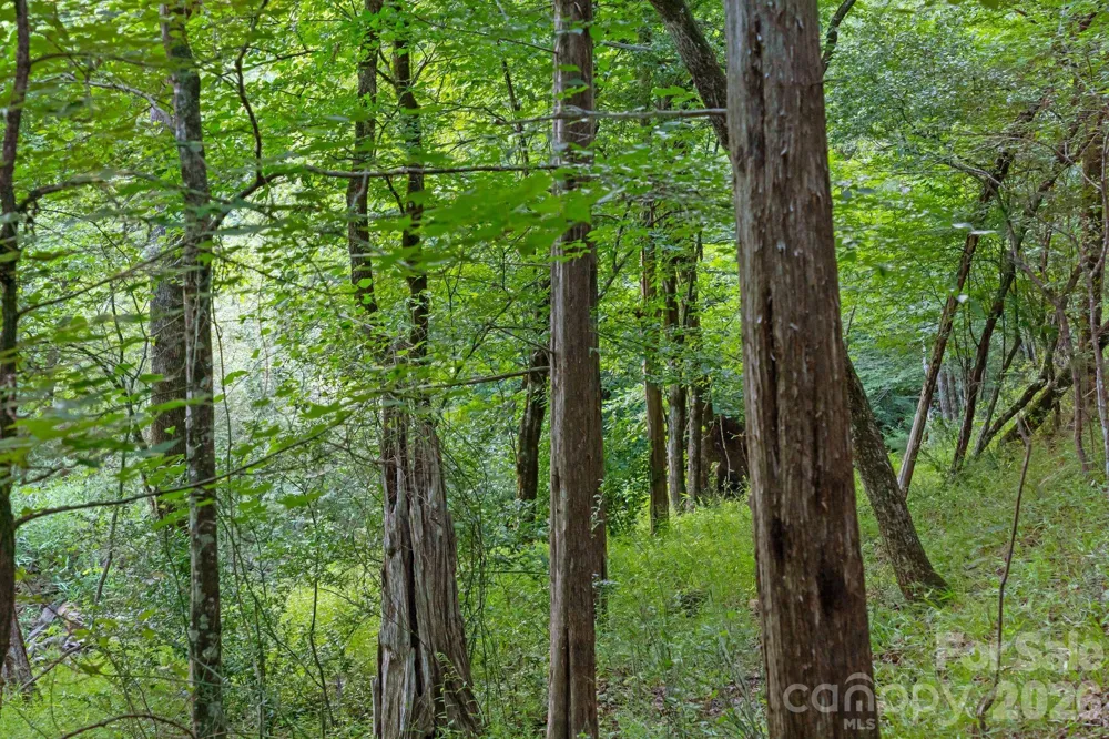 0000 Lucy Short Cut Road #3 Marshville, NC 28103