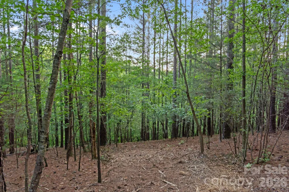 0000 Lucy Short Cut Road #2 Marshville, NC 28103