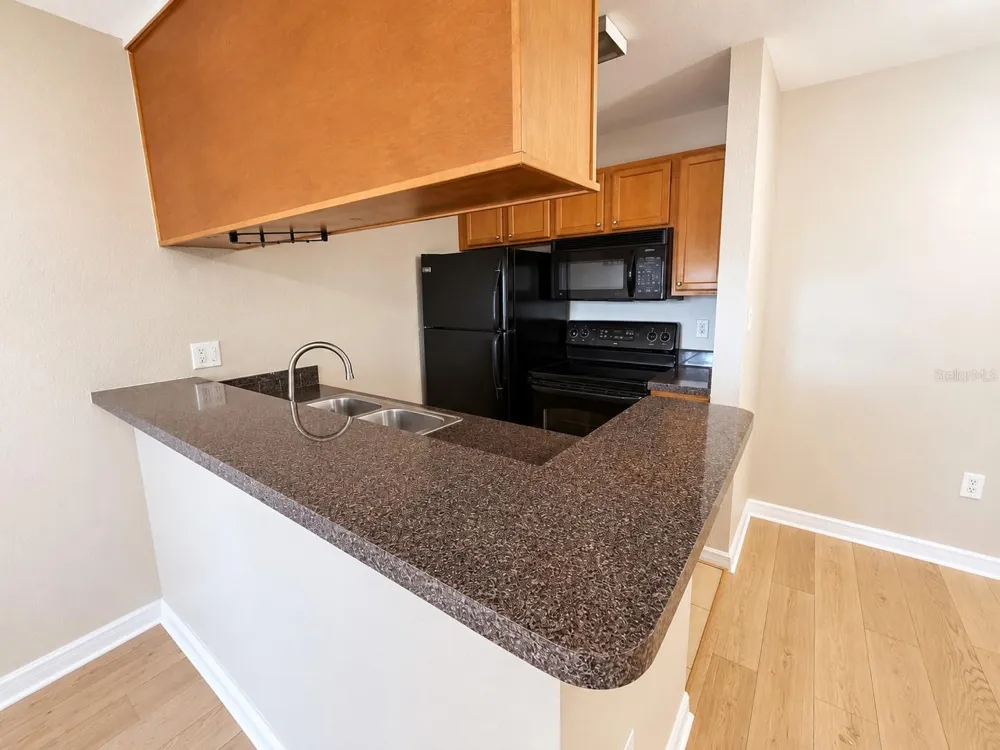 203 LAKE PARSONS GREEN #108 Brandon, FL 33511