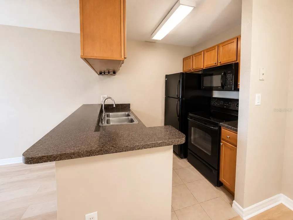 203 LAKE PARSONS GREEN #108 Brandon, FL 33511
