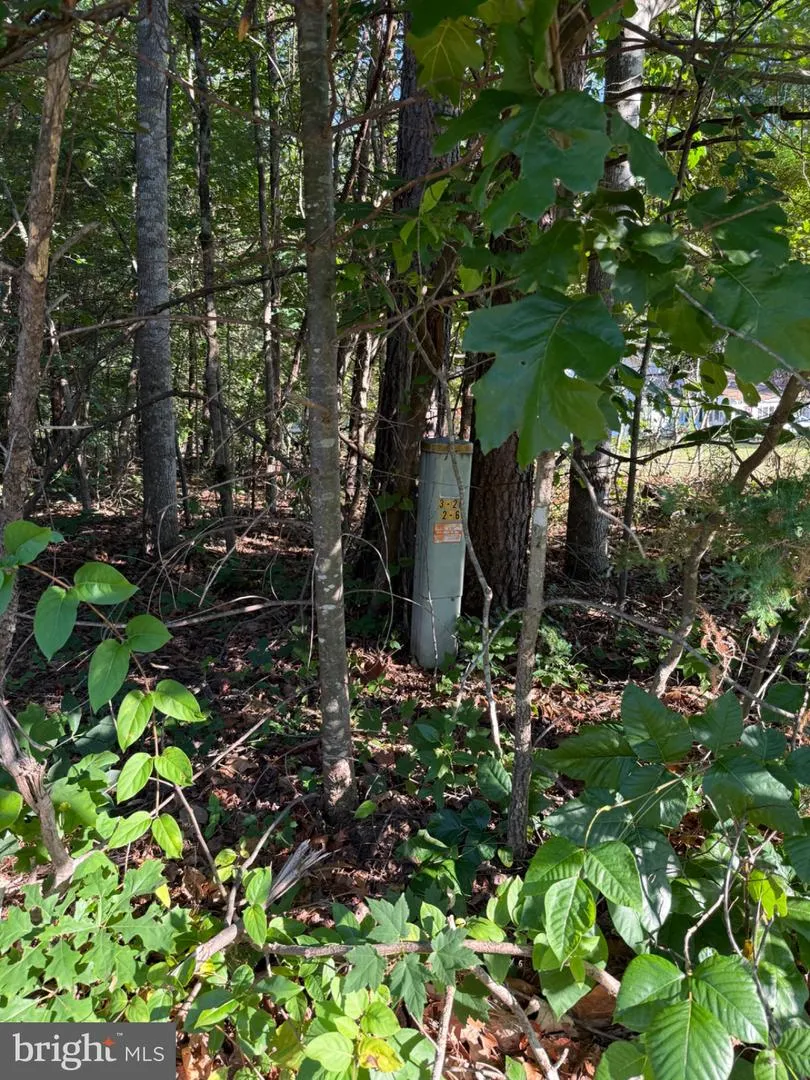 KIRTLEY TRL Culpeper, VA 22701