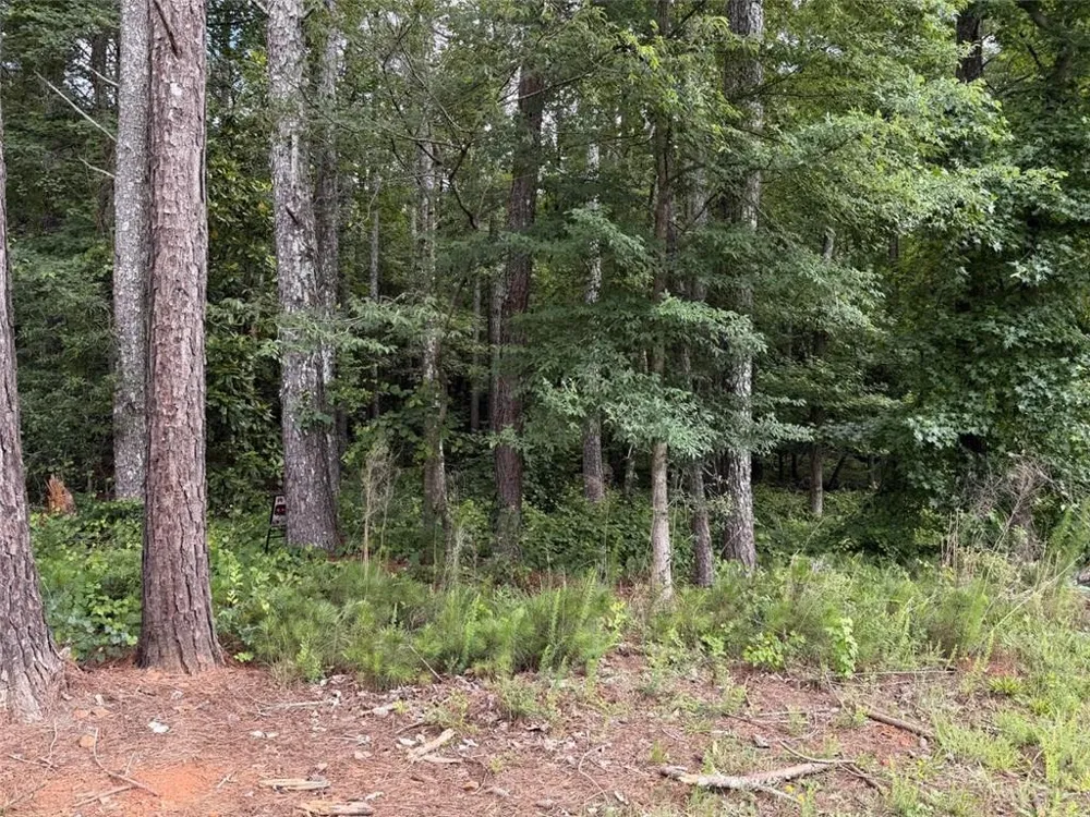 0 Maddox Hoschton, GA 30549