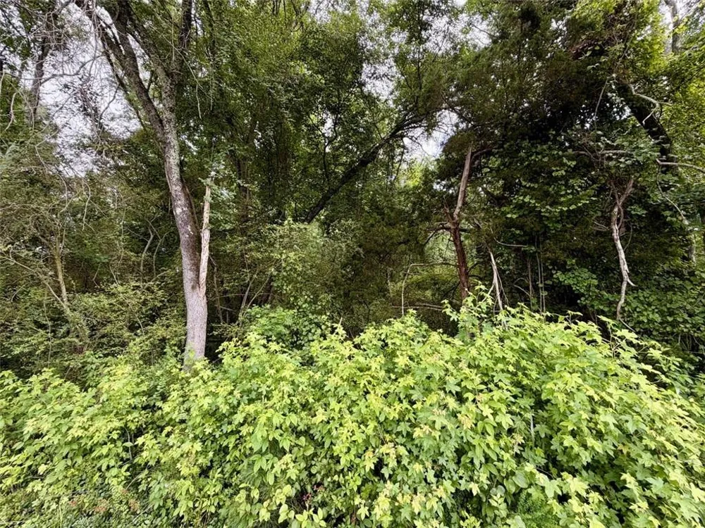0 Maddox Hoschton, GA 30549