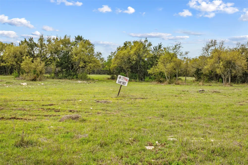 107 E. Flying Owl Drive Johnson City, TX 78636