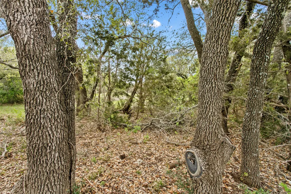 107 E. Flying Owl Drive Johnson City, TX 78636