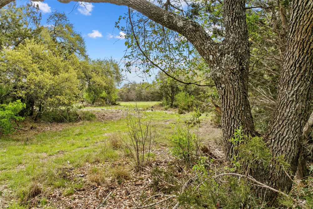 107 E. Flying Owl Drive Johnson City, TX 78636