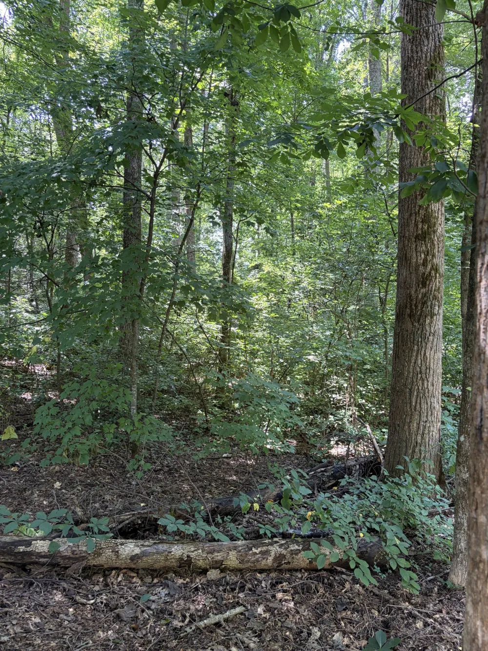 505 Maple Ave S Cookeville, TN 38501