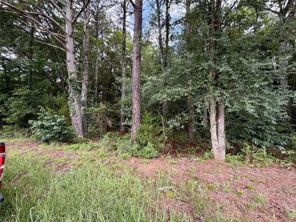 0 Maddox Hoschton, GA 30549