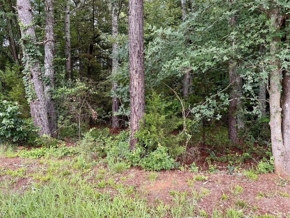 0 Maddox Hoschton, GA 30549