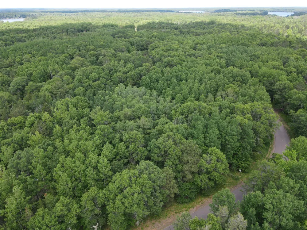 LOT 15 Loon Lake Road Danbury, WI 54830