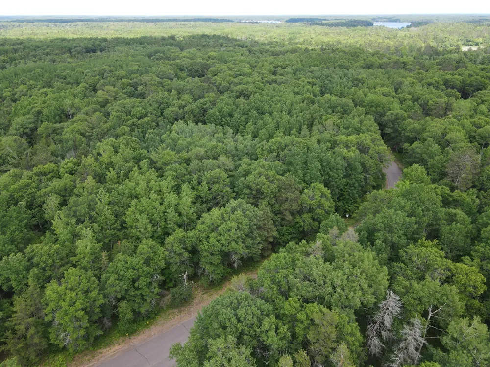 LOT 15 Loon Lake Road Danbury, WI 54830