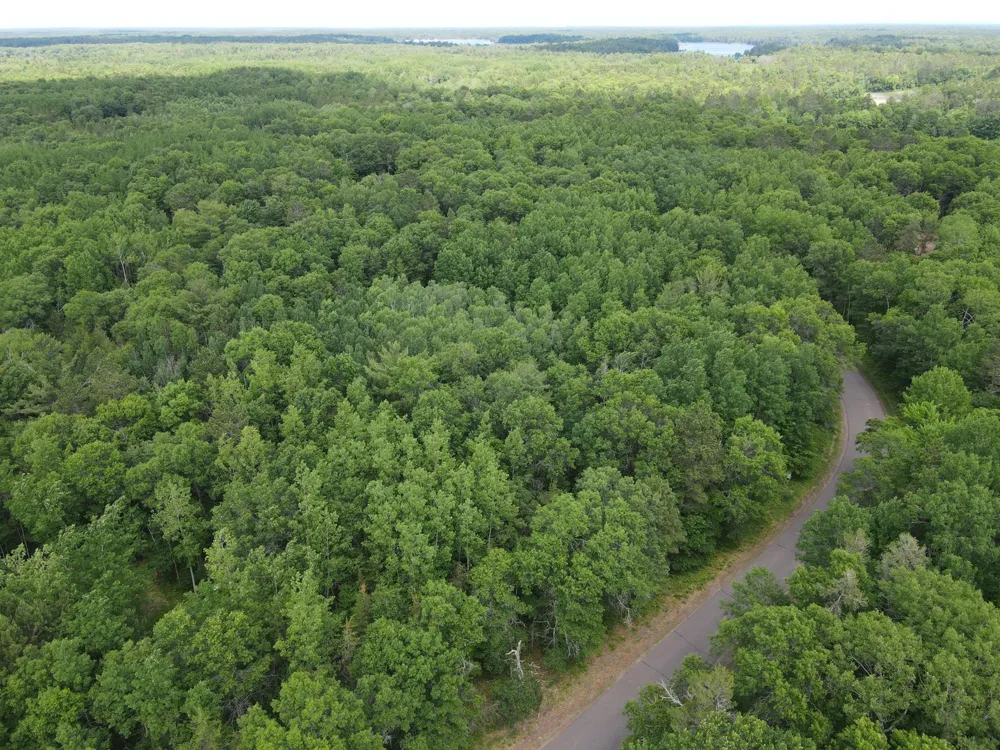 LOT 15 Loon Lake Road Danbury, WI 54830
