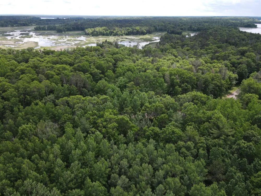 LOT 15 Loon Lake Road Danbury, WI 54830