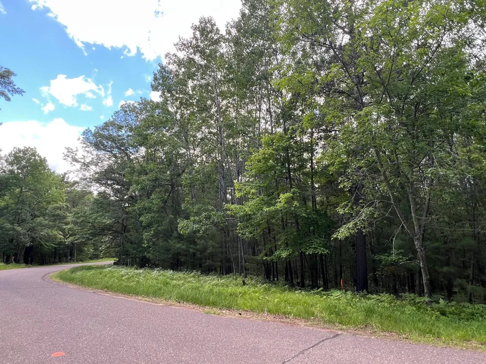 LOT 15 Loon Lake Road Danbury, WI 54830