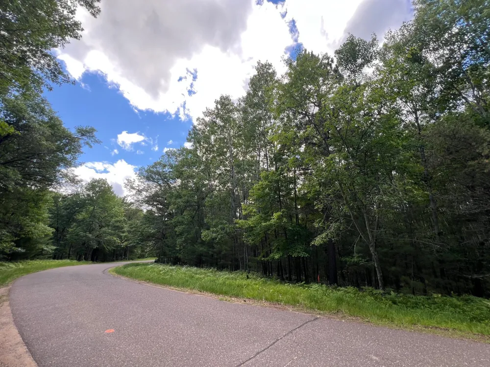 LOT 15 Loon Lake Road Danbury, WI 54830