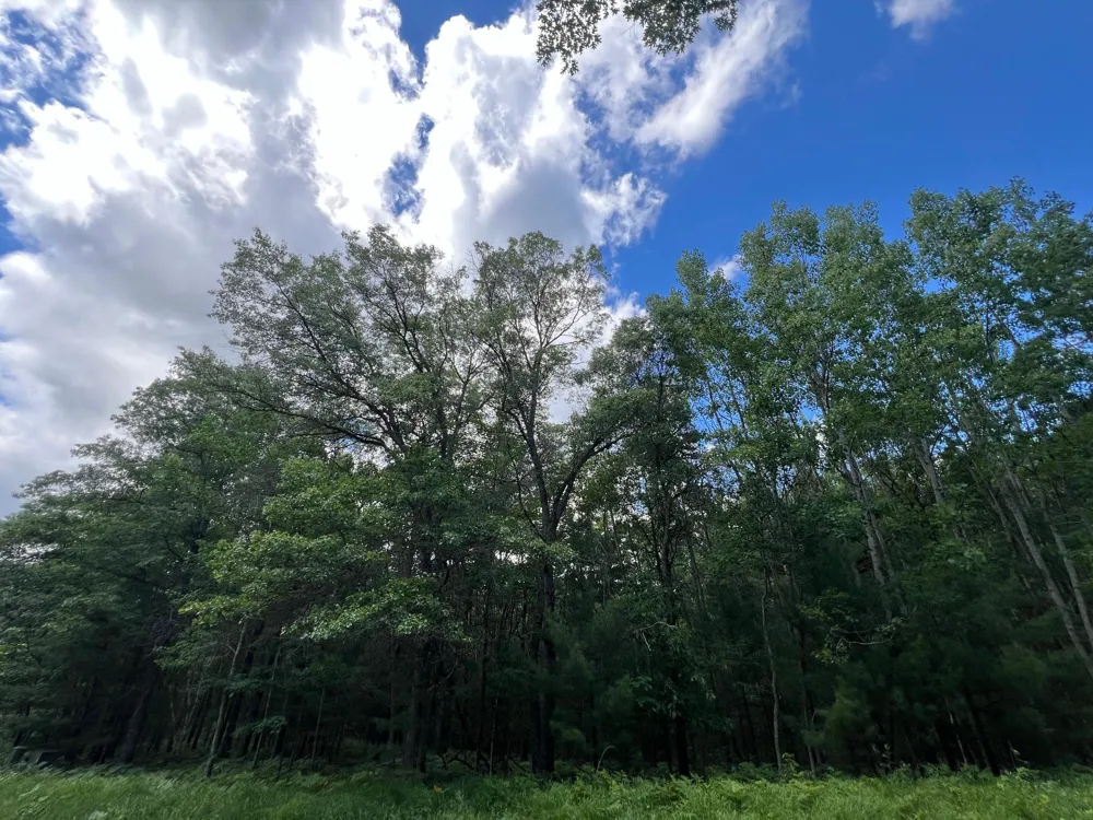 LOT 15 Loon Lake Road Danbury, WI 54830
