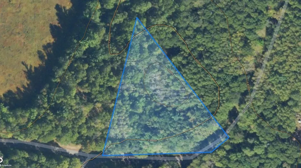 LOT 15 Loon Lake Road Danbury, WI 54830