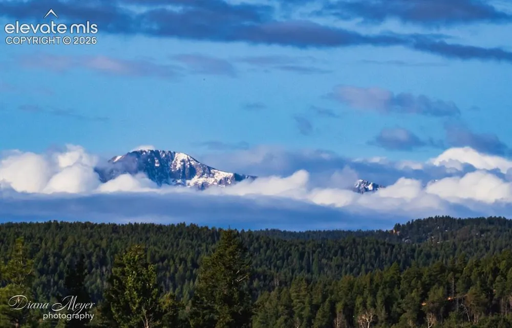 13035 Deer Ridge Way Larkspur, CO 80118