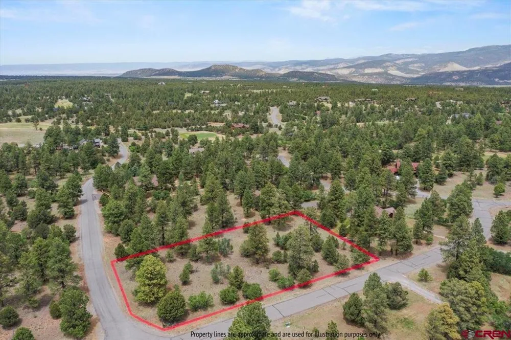 308 Bear Cub Drive Ridgway, CO 81432