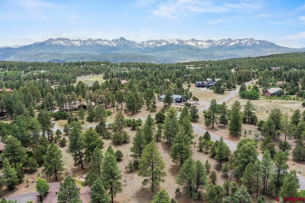 308 Bear Cub Drive Ridgway, CO 81432