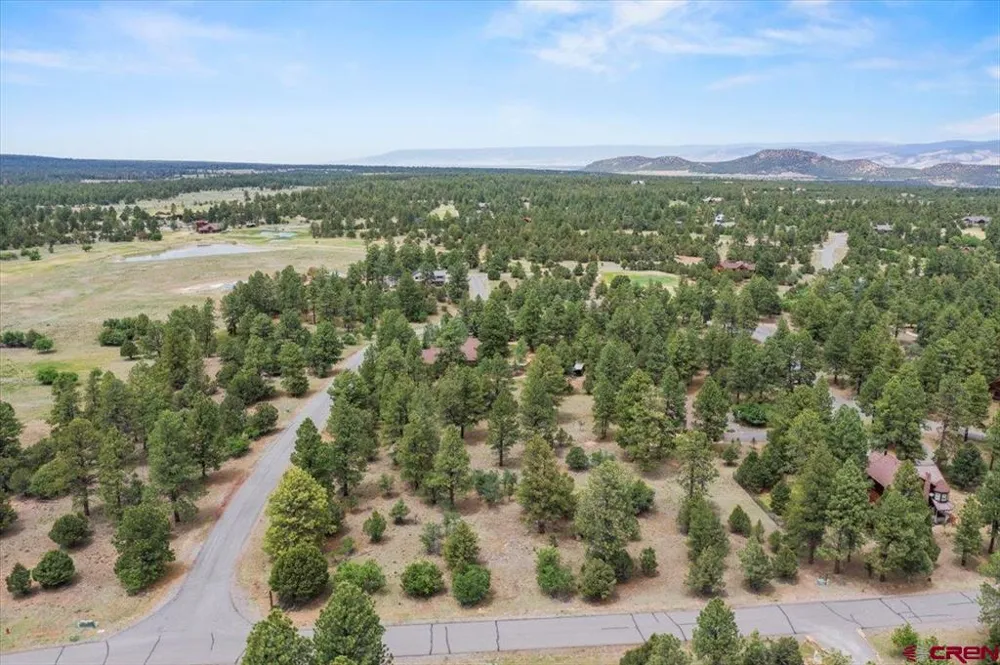 308 Bear Cub Drive Ridgway, CO 81432