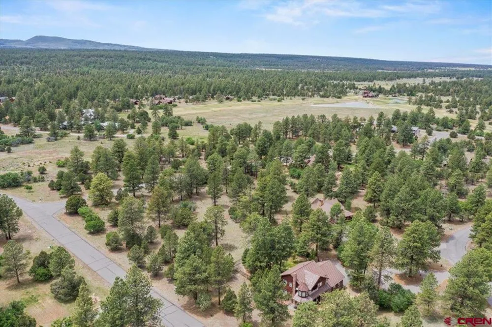 308 Bear Cub Drive Ridgway, CO 81432