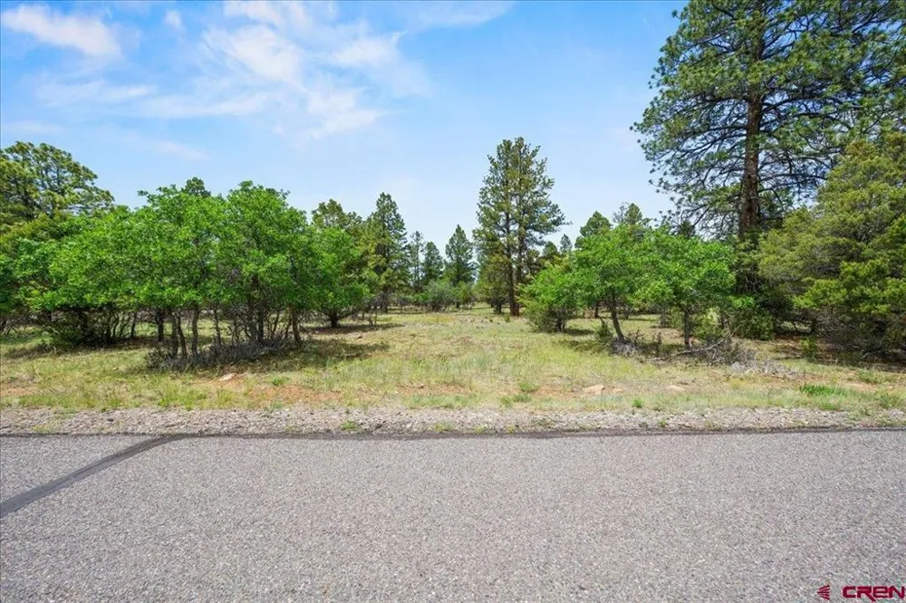 308 Bear Cub Drive Ridgway, CO 81432