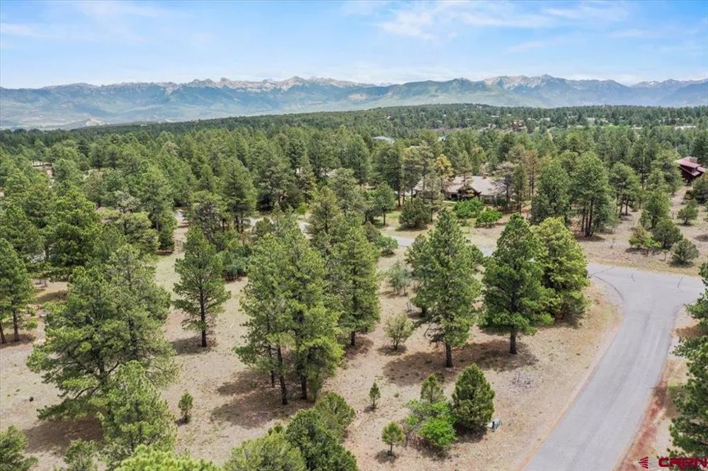 308 Bear Cub Drive Ridgway, CO 81432