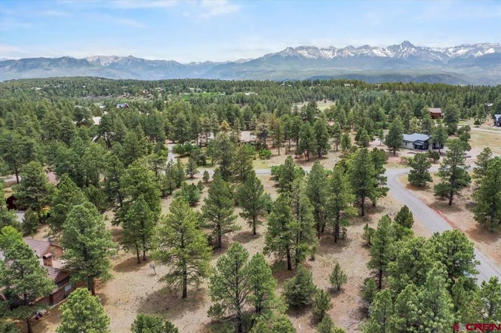 308 Bear Cub Drive Ridgway, CO 81432