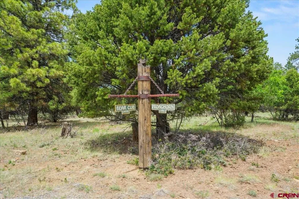 308 Bear Cub Drive Ridgway, CO 81432