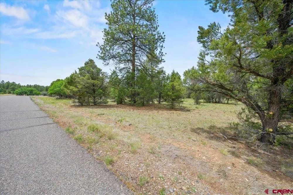308 Bear Cub Drive Ridgway, CO 81432