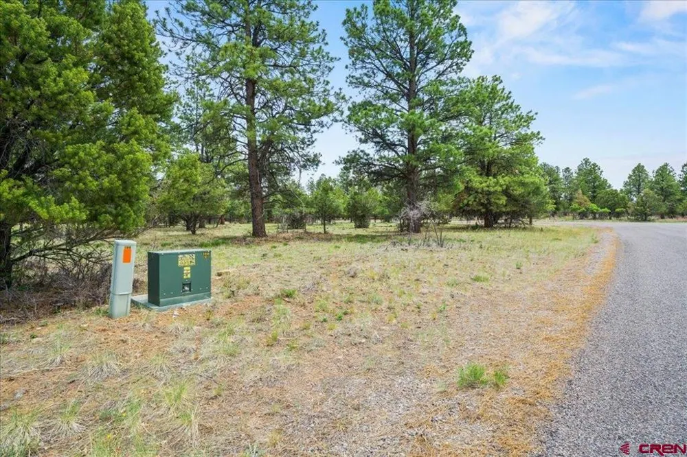 308 Bear Cub Drive Ridgway, CO 81432
