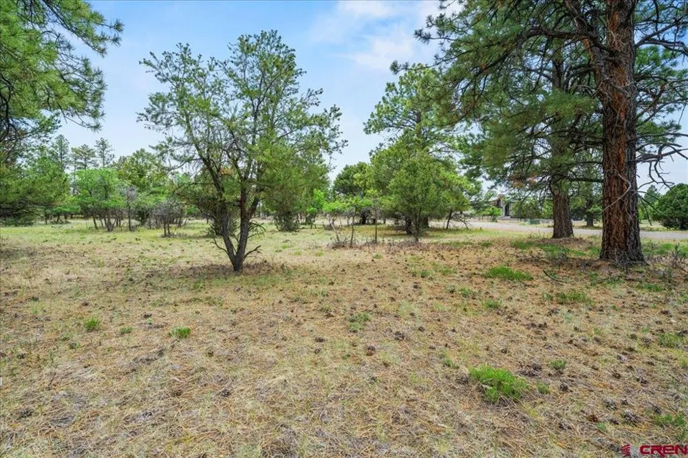 308 Bear Cub Drive Ridgway, CO 81432