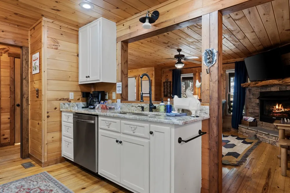 236 Logan Drive Mineral Bluff, GA 30559