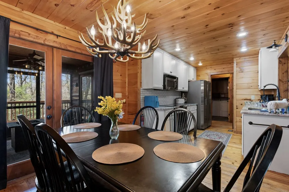 236 Logan Drive Mineral Bluff, GA 30559