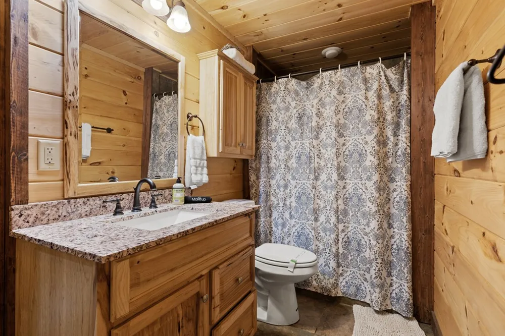 236 Logan Drive Mineral Bluff, GA 30559