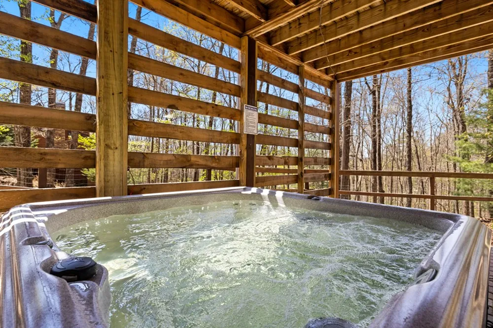 236 Logan Drive Mineral Bluff, GA 30559